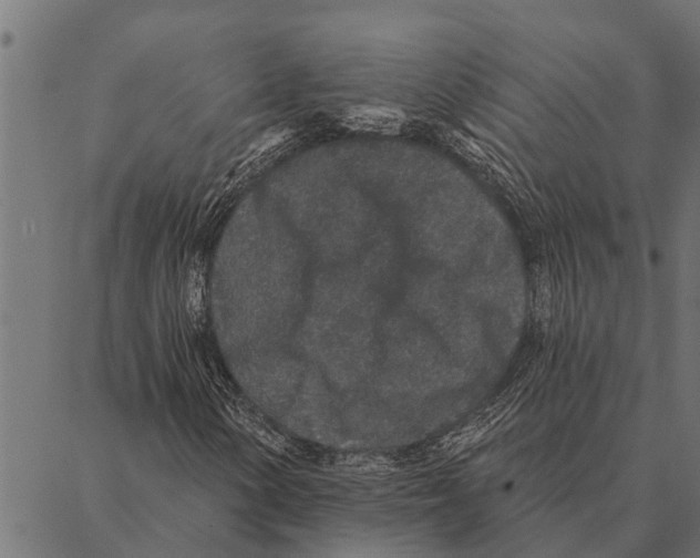 X0000087341154200705181054