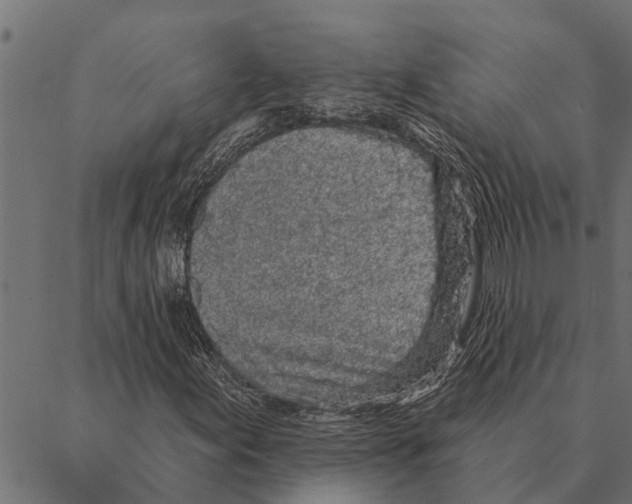 X0000087341155200705181054