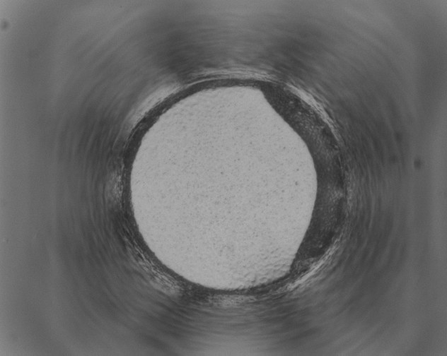 X0000087341163200705181054