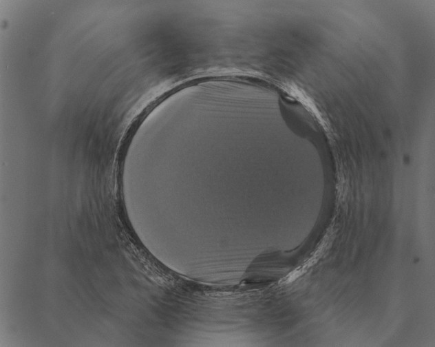 X0000087341173200705181054