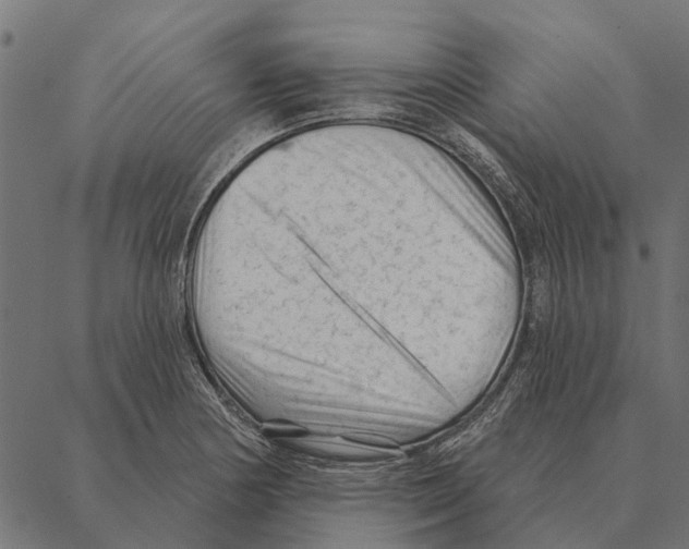 X0000087341178200705181054
