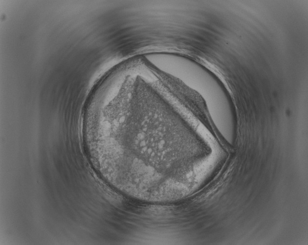 X0000087341179200705181054