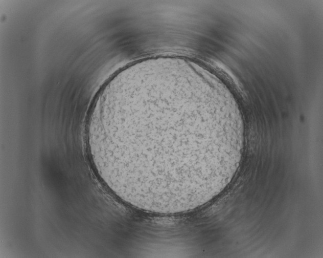 X0000087341182200705181054