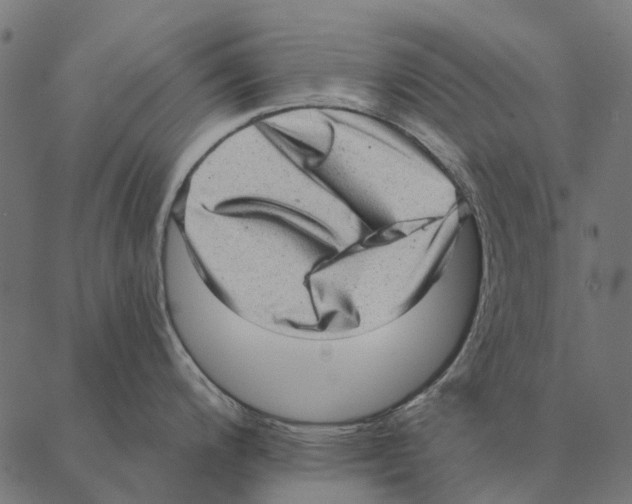 X0000087341200200705181053