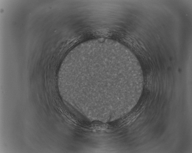 X0000087341201200705181052