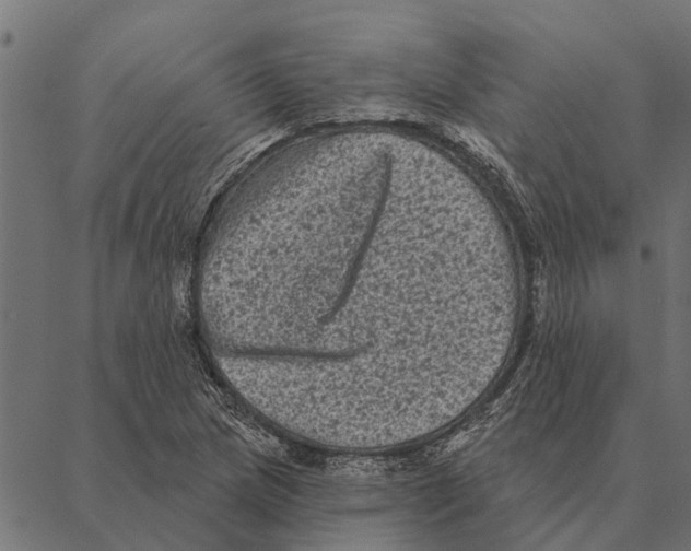 X0000087341217200705181053