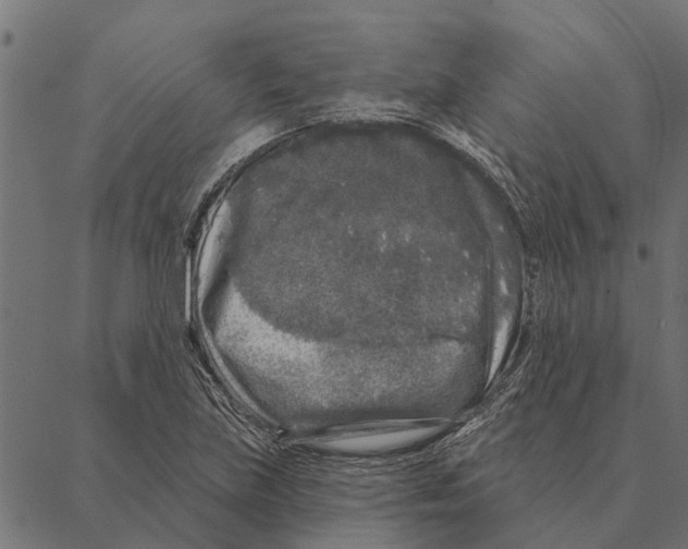 X0000087341219200705181053