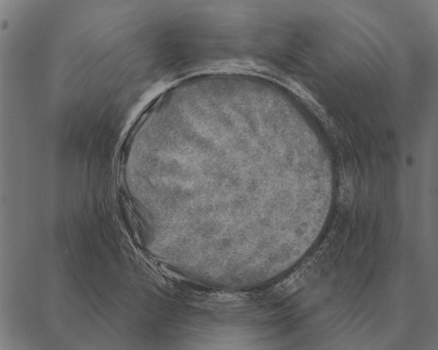 X0000087341224200705181053