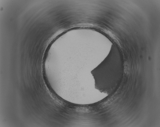 X0000087341229200705181053