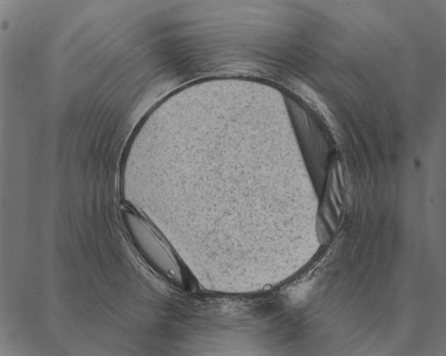 X0000087341234200705181053