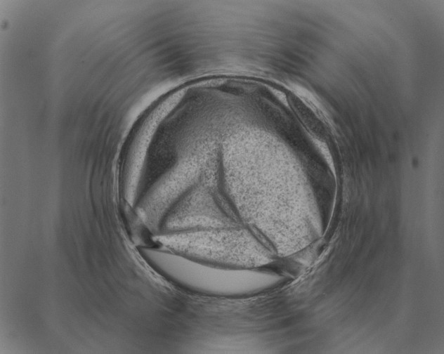 X0000087341238200705181053