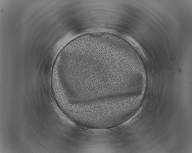 X0000087341244200705181053
