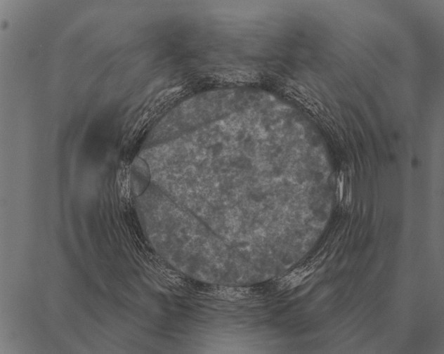 X0000087341251200705181052