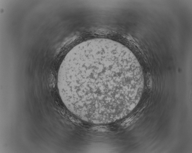 X0000087341253200705181052