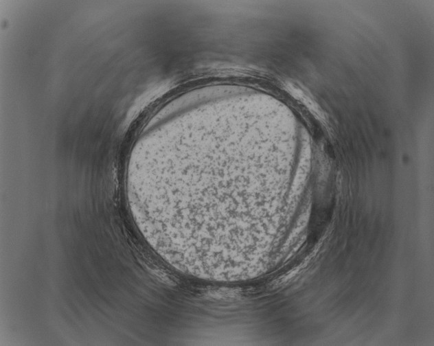 X0000087341261200705181052
