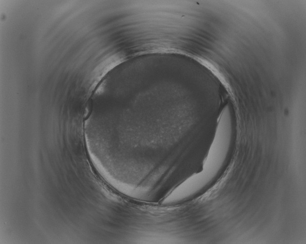 X0000087341289200705181052