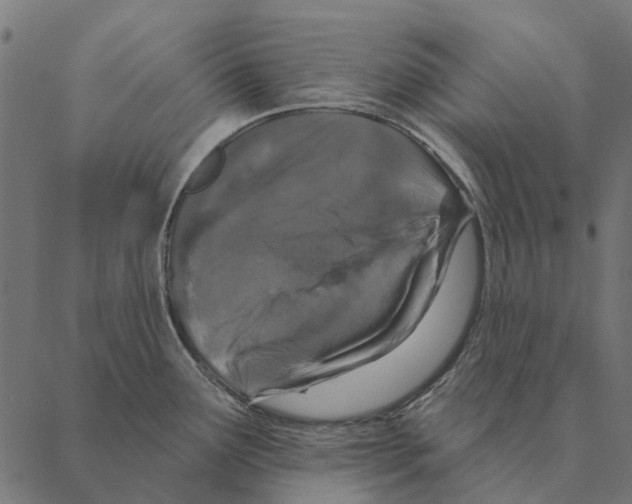 X0000087341291200705181052