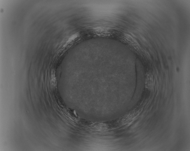 X0000087341298200705181051