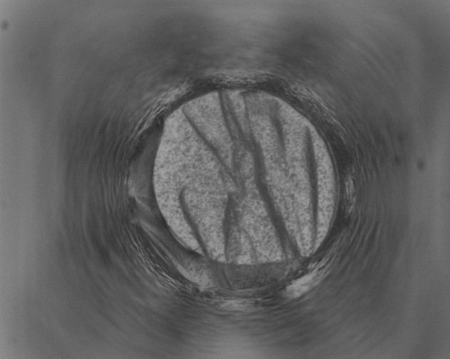 X0000087341300200705181051
