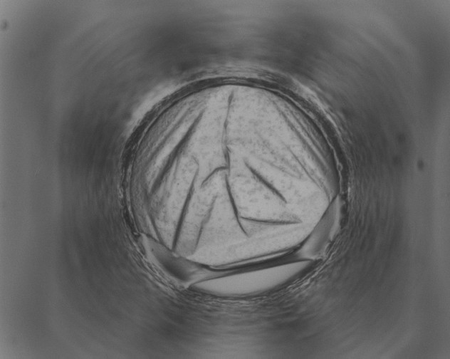 X0000087341312200705181051