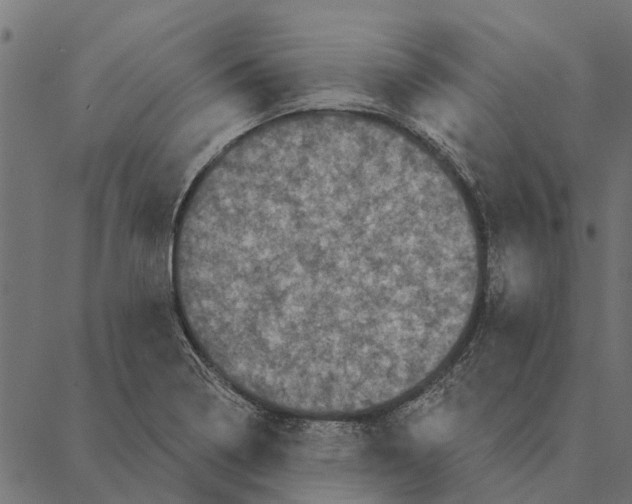 X0000087341322200705181051