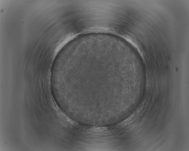 X0000087341325200705181051