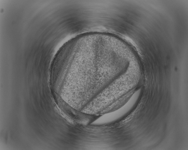 X0000087341326200705181051