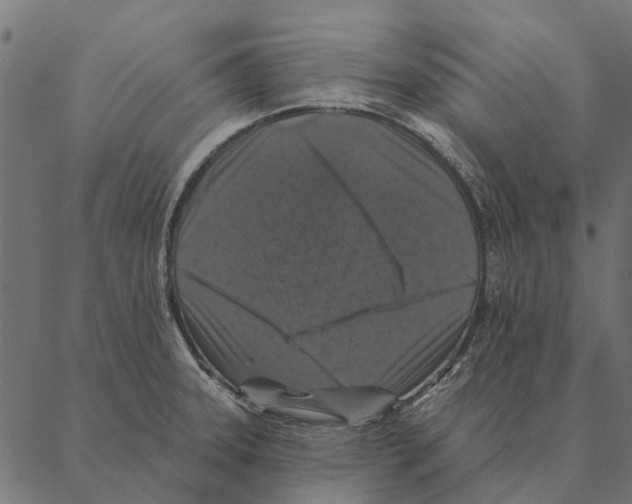 X0000087341331200705181051