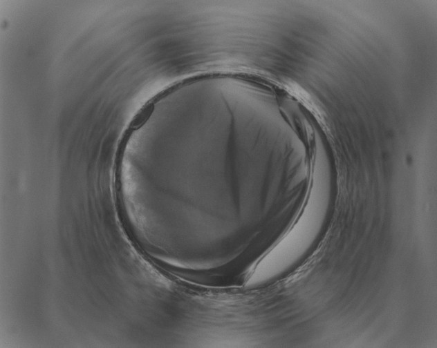 X0000087341334200705181051