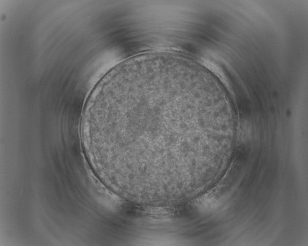 X0000087341338200705181052