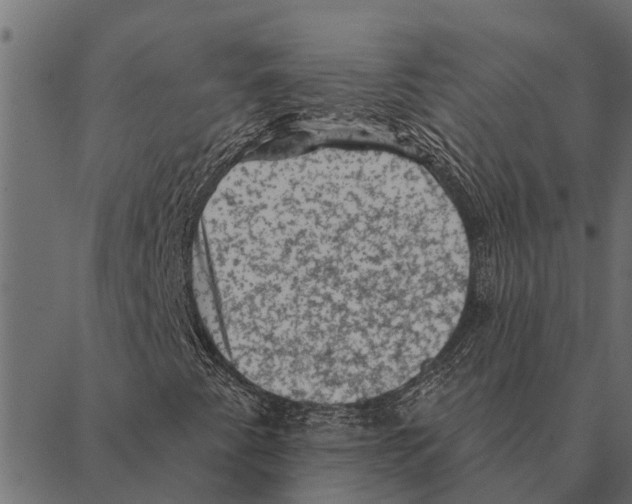 X0000087341345200705181051