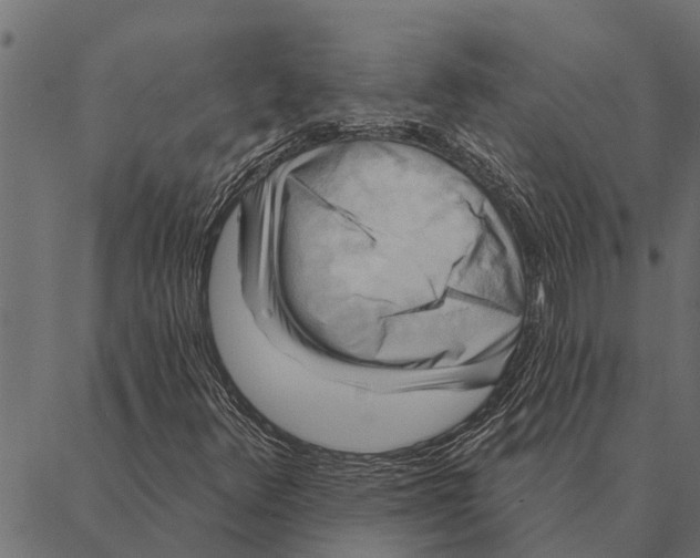 X0000087341348200705181051