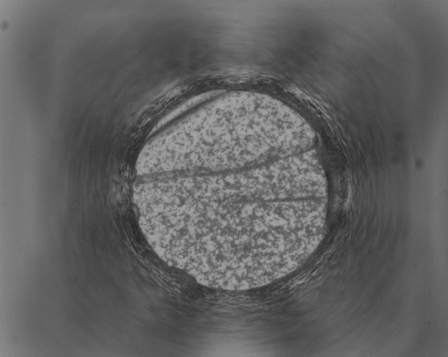 X0000087341349200705181051