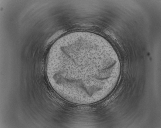 X0000087341354200705181051
