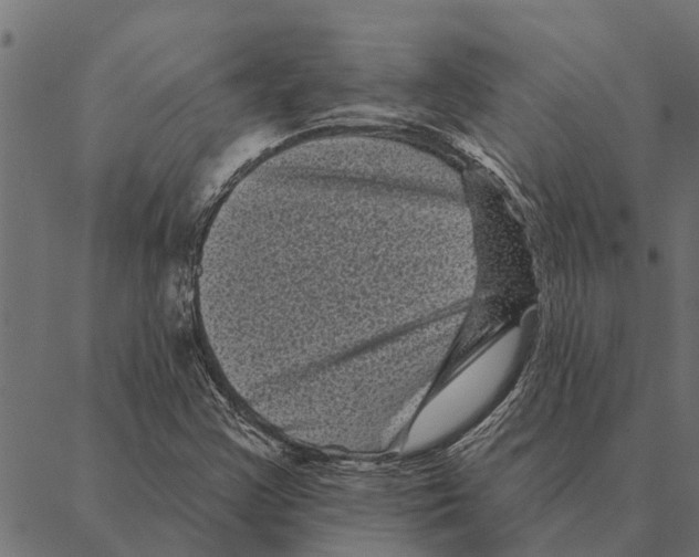 X0000087341355200705181051