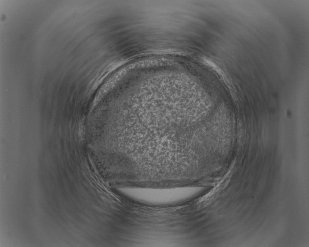 X0000087341361200705181051