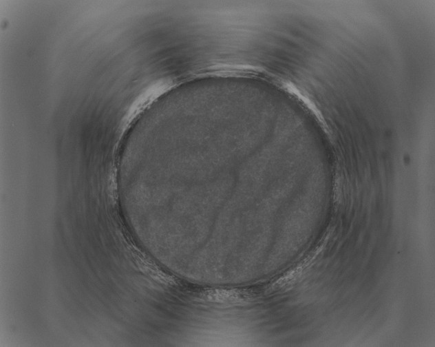 X0000087341362200705181051