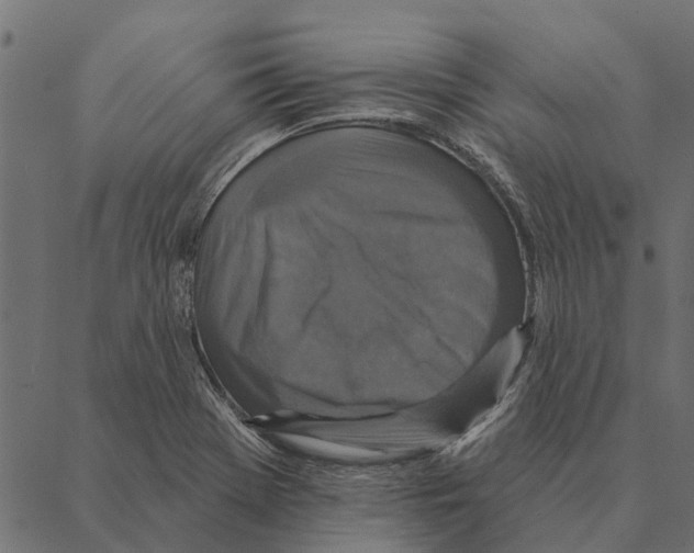 X0000087341369200705181050