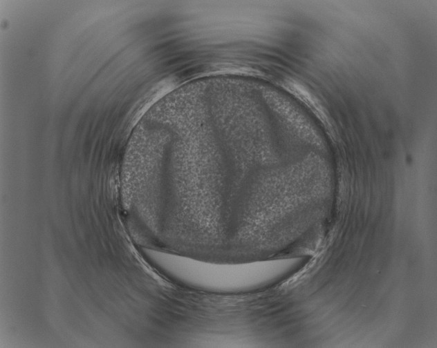 X0000087341377200705181050