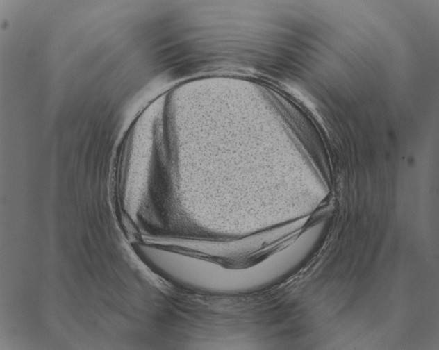 X0000087341379200705181050