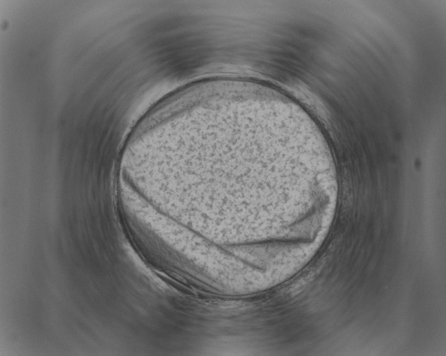 X0000087341382200705181050