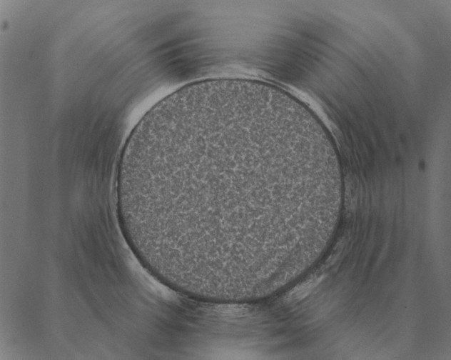 X0000087341387200705181050