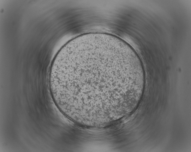 X0000087341392200705181050