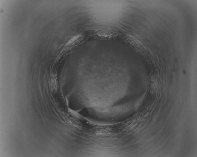 X0000087341394200705181049