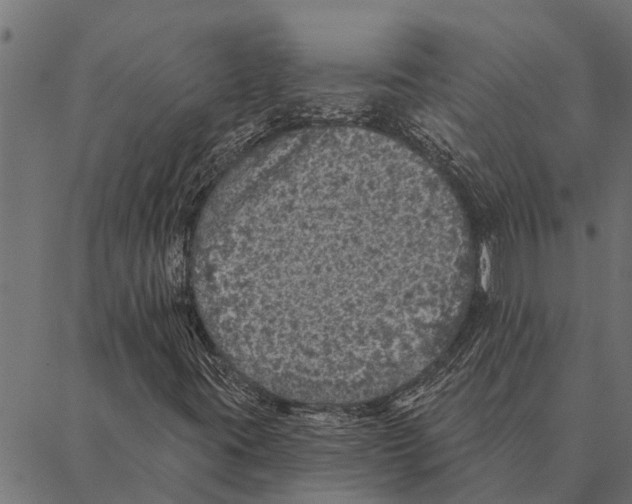 X0000087341395200705181049
