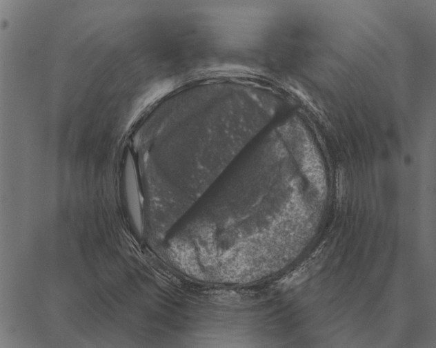 X0000087341405200705181050