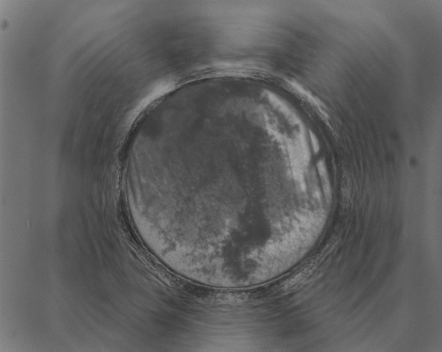 X0000087341411200705181050
