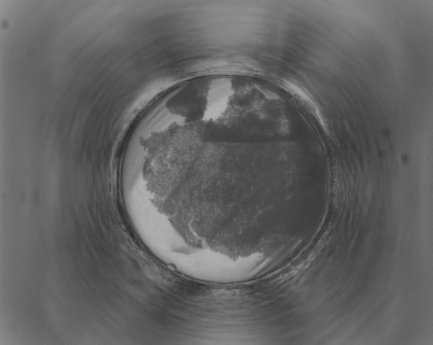 X0000087341419200705181050