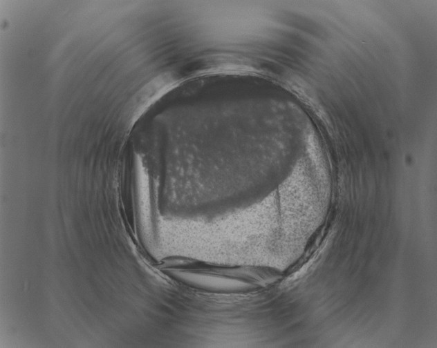 X0000087341425200705181050