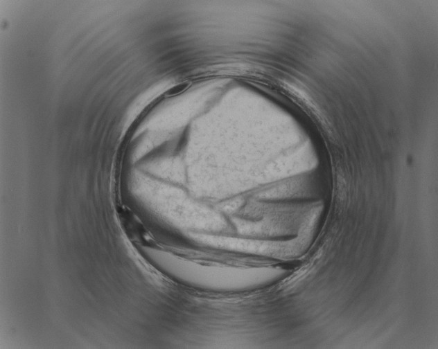 X0000087341426200705181050